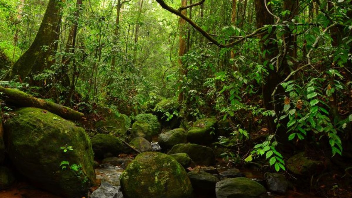 2 new forest reserves declared in line with 'Ehipassiko' Walk for Peace