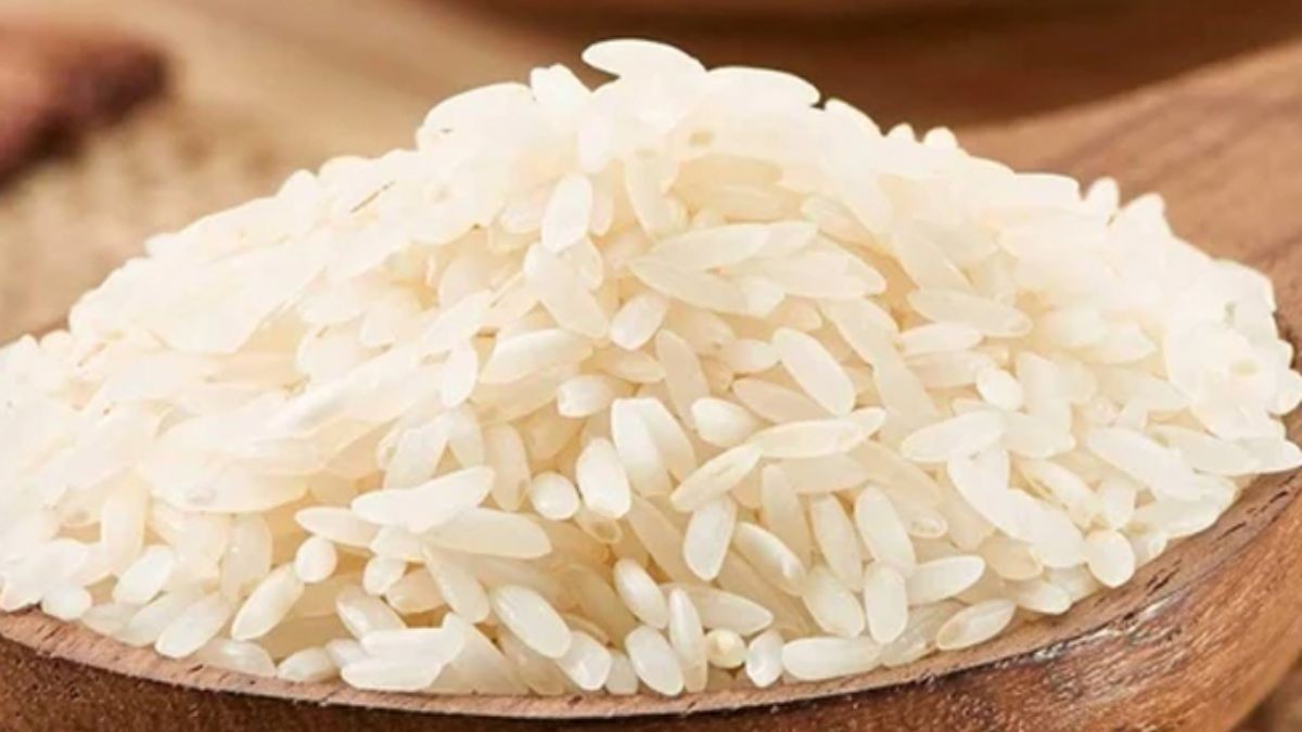 3,500 MT of Ponni Samba rice imported to SL