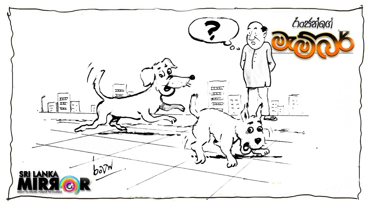 Cartoon: 22 – 12 – 27