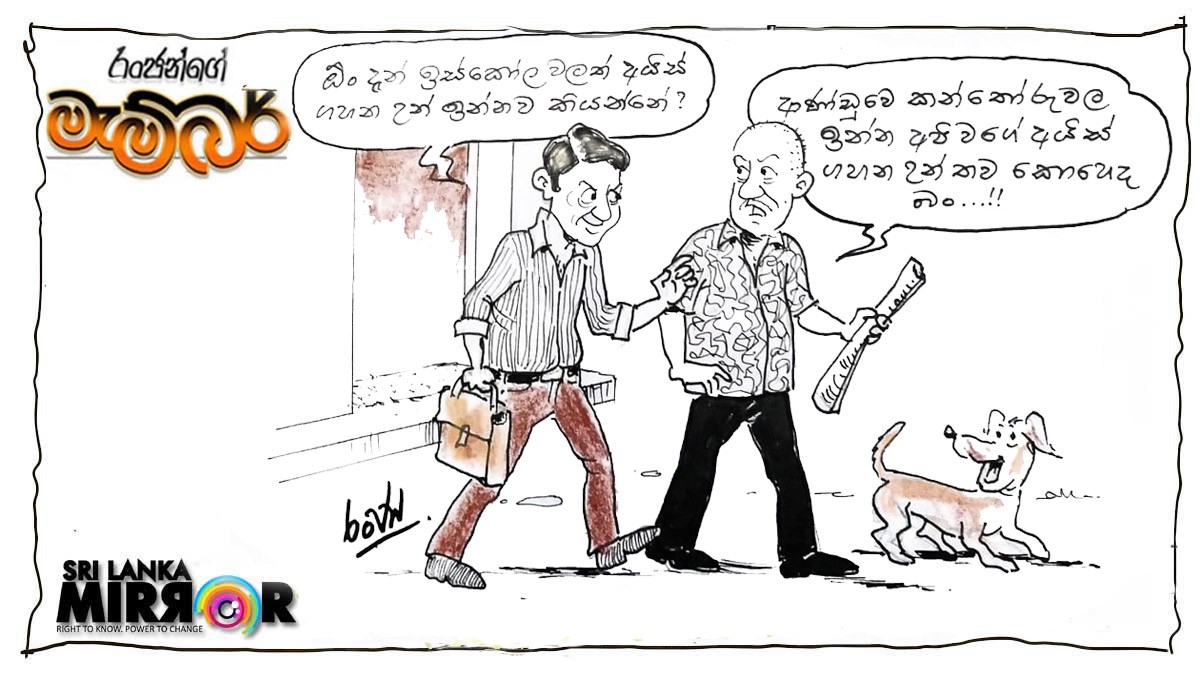 Cartoon 22 – 12 – 29