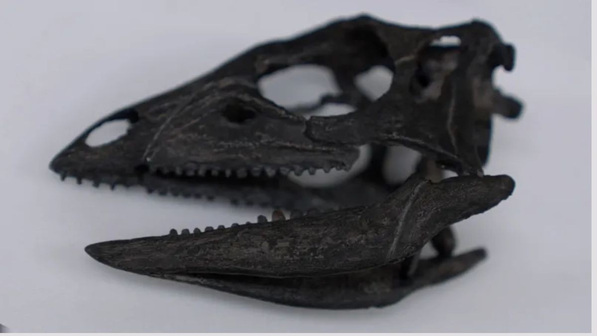 Dog-sized dinosaur that ran around feet of giants discovered