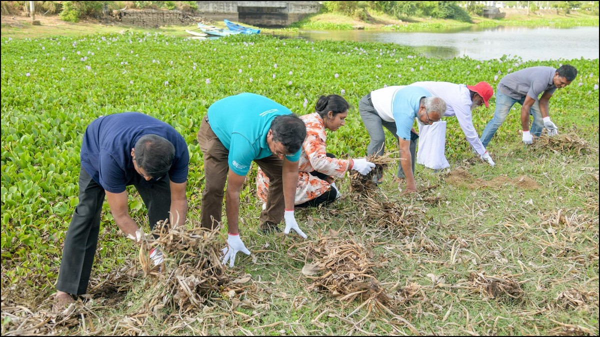 Ecosystem enrichment programme for jumbos launched at Tabbowa Tank (Pics)