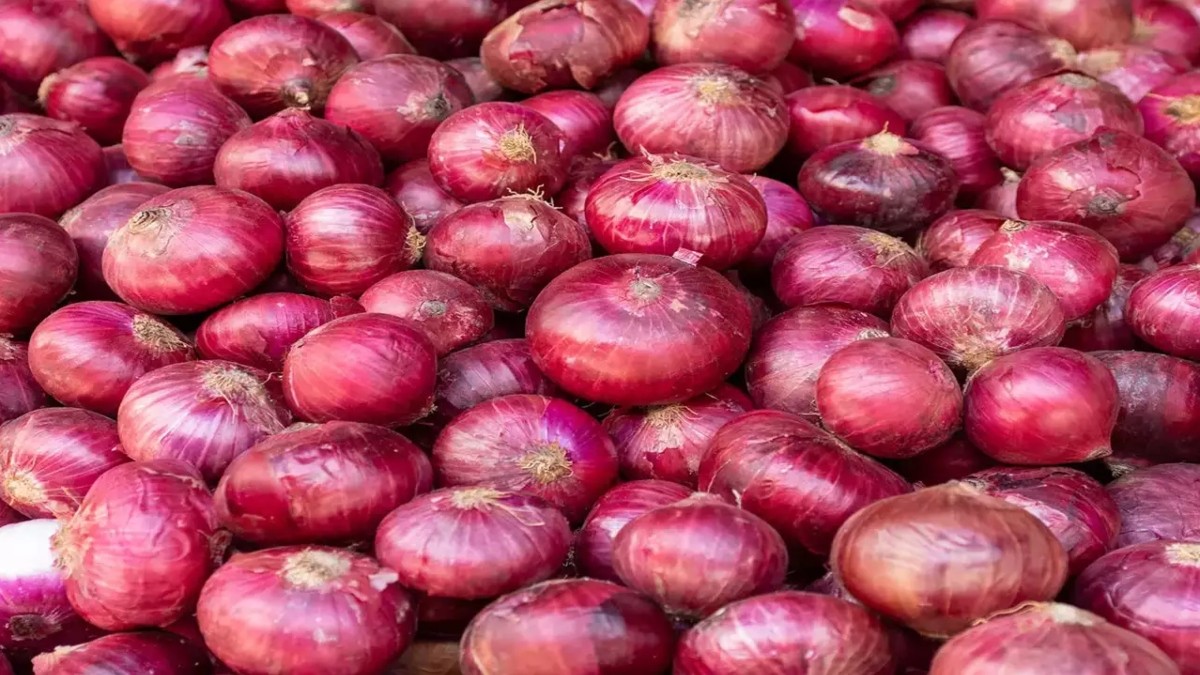 Govt lays down 17 conditions for big onion purchases