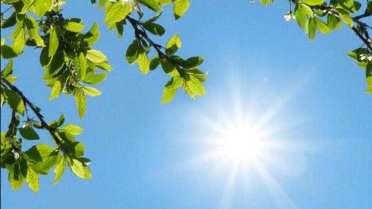 Warm conditions prevail across island